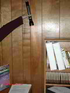Flashlight dust (C) D Friedman