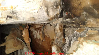 Wall water damage, mold, effloresence (C) InspectApedia.com Savannah