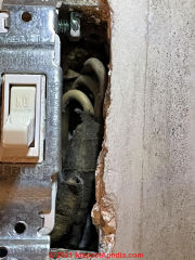 possible mold on wall at light switch (C) InspectApedia.com Ruth