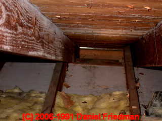 Photograph: typical mold on attic side of ceiling drywall after a roof leaks -  &copy; Daniel Friedman
