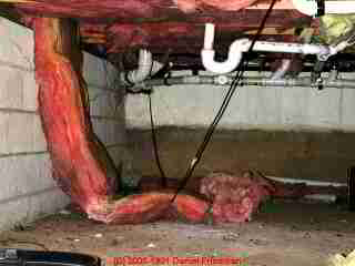 insulation contaminated in a crawl space