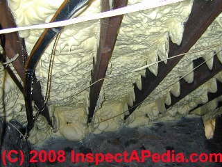 Photograph of Moldy visible growing on a fiberglass insulation fiber  &copy; Daniel Friedman