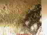 Aiming light properly shows the light-colored mold next to the black mold