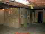 Mold on basement laundry room wall - Daniel Friedman 04-11-01