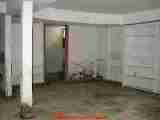Mold on basement laundry room wall - Daniel Friedman 04-11-01