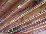 Cosmetic Black Mold on building framing - Daniel Friedman 04-11-01