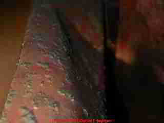 Photo of moldy file folders in a law office file cabinet subject to prior flooding