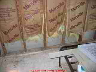 Photograph of extensive basement Stachybotrys chartarum contamination -  &copy; Daniel Friedman