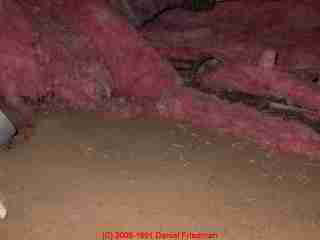 Photograph moldy fiberglass insulation which has fallen onto the dirt surface of a crawl space -  &copy; Daniel Friedman
