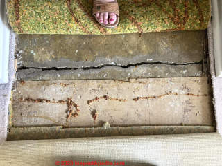 upper floor concrete crack needs further inspection (C) InspectApedia.com Jaykaym