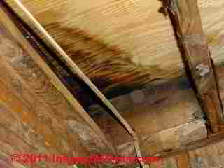 Plywood stains from roof leak (C) Daniel Friedman
