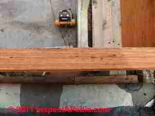 LVL beam, built-up (C) Daniel Friedman