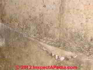 Cold pour joint in concrete foundation wall, closeup (C) Daniel Friedman