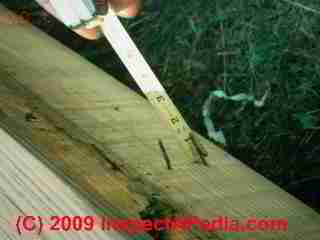 Deck ledger nails exposed (C) Daniel Friedman