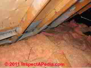 House fire vs mold (C) Daniel Friedman
