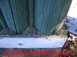 Source of log rot on a cabin (C) Daniel Friedman