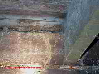 Signs of risk of termite attack (C) Daniel Friedman