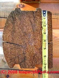Cross section of a modern D-shaped solid log used in log homes