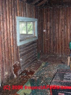 Green cabin Two Harbors Interior (C) Daniel Friedman