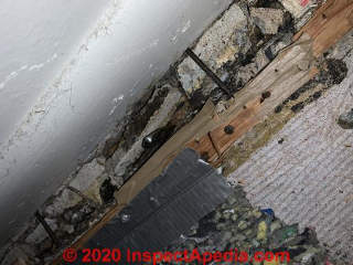 1950s house floor slab  broken up around edges (C) InspectApedia.com Jenna