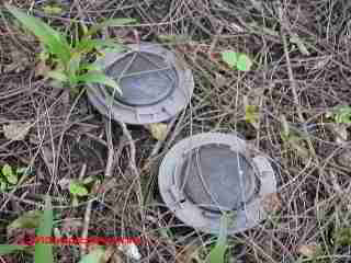 Signs of risk of termite attack (C) Daniel Friedman