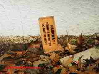 Signs of risk of termite attack (C) Daniel Friedman