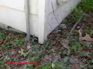 Termite damage case (C) Daniel Friedman