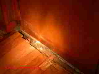 Termite damage case (C) Daniel Friedman