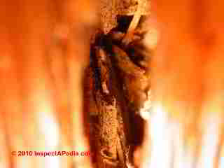 Termite damage case (C) Daniel Friedman