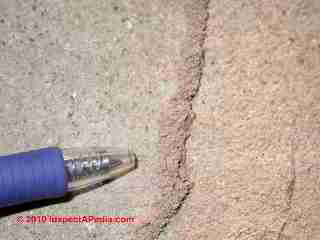 Signs of risk of termite attack (C) Daniel Friedman