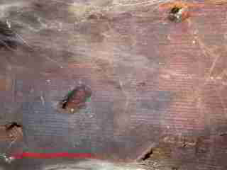 Signs of risk of termite attack © Daniel Friedman at InspectApedia.com