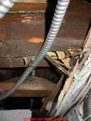Photograph of  termite damage to the floor structure of a 1920's home.