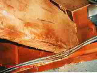 Termite activity on a foundation(C) Daniel Friedman