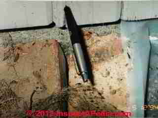 powder post beetle damage (C) Daniel Friedman