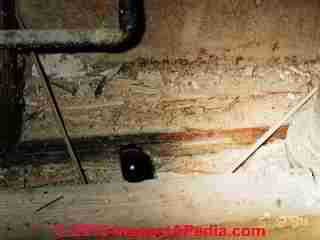 Termite Damaged floor sill (C) Daniel Friedman