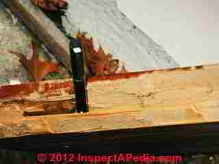 Carpenter Ant Damage (C) Daniel Friedman