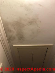 Mold contaminated ceiling near attic pull down stair (C) InspectApedia.com Deborah