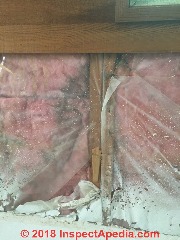 Leaks into cathedral ceiling insulation (C) InspectApedia.com Plowman