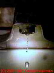 Dripping water faucet (C) Daniel Friedman