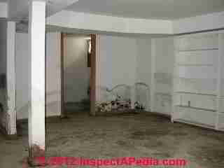 Moldy wet basement before demolition (C) Daniel Friedman