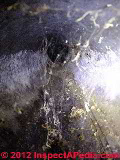 Water and rodents in air duct © D Friedman at InspectApedia.com 
