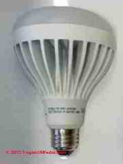 Ecosmart LED floodlamp, Edison Base