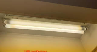 two pin double fluorescent bulb (C) InspectApedia.com DogsRule