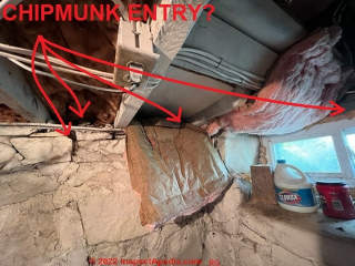 Possible chipmunk entry points in an older home with a stone foundation at grade (C) InspectApedia.com R.G.