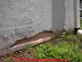 Stucco wall damage from weed whacker (C) Daniel Friedman