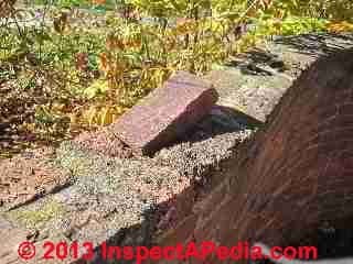 Above-ground privacy or dividing wall, serpentine brick, Vassar College (C) DanieL Friedman