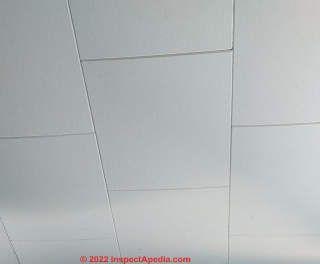 1870 Hudson MA ceiling tiles (C) InspectApedia.com Mark