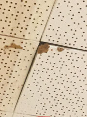 1950s perforated acoustic ceiling tiles often do not contain asbestos (C) InspectApedia.com Jose