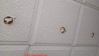 1960s Ohio ceiling tiles (C) InspectApedia.com Kelly