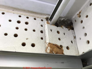 Round perforated tan fibre ceiling tiles probably not asbestos (C) InspectApedia.com Helen